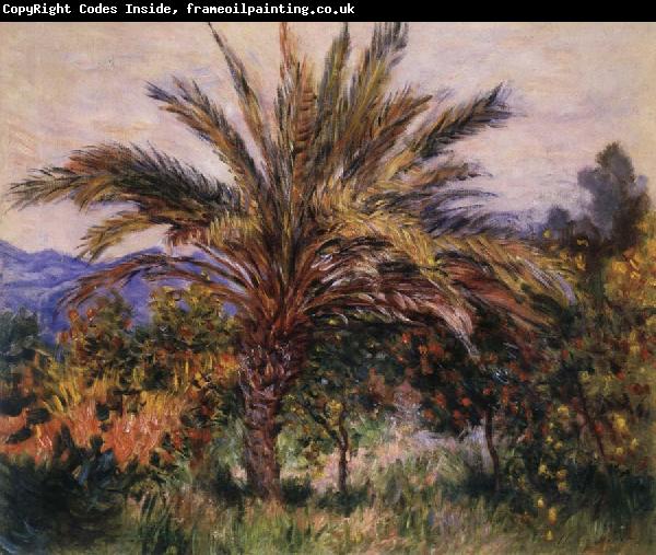 Claude Monet A Palm Tree at Bordighera